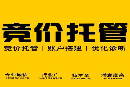 SEM代运营公司案例：助力企业实现增长